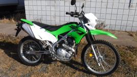 2022 Kawasaki KLX230 Dualsport